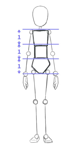 Body proportions Tutorial