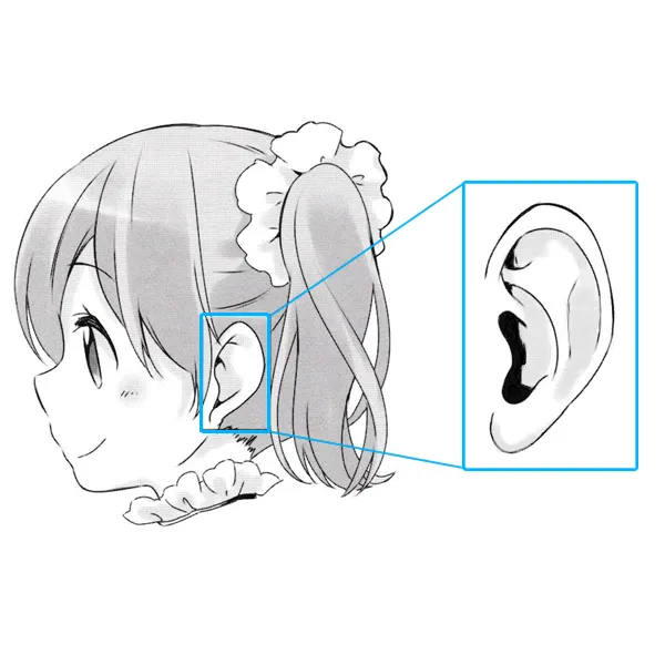 Drawing ears from different angles - Anime Art Magazine