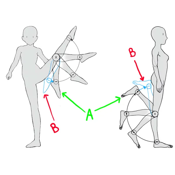 How to Draw Legs  Detailed Instructions for Leg Anatomy Drawing