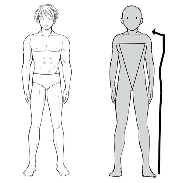 Anime Bodies Best Drawing - Drawing Skill-demhanvico.com.vn