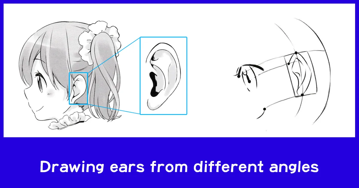 Drawing ears from different angles - Anime Art Magazine