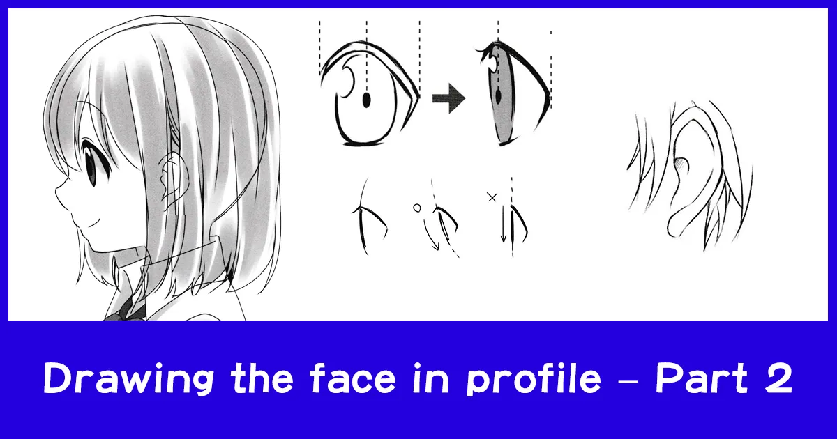 Drawing the face in profile – Part 2 - Anime Art Magazine