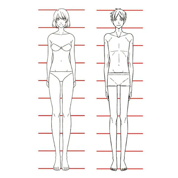 Different Body Types | Anime Amino