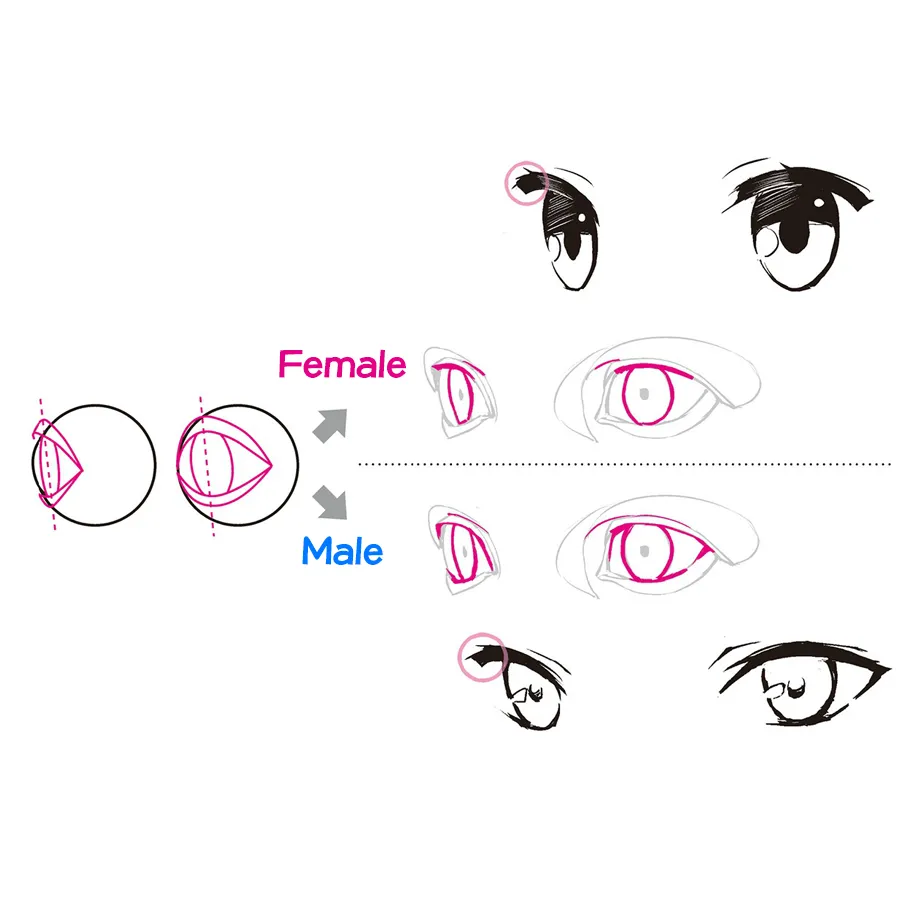 how to draw female anime eyes